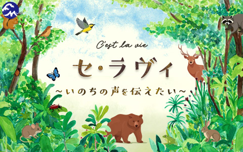 La-Vie CD2枚セット　ラヴィ　ハートランド セ・ラヴィ ～いのちの声を伝えたい～ | Fm yokohama 84.7 (FMヨコハマ